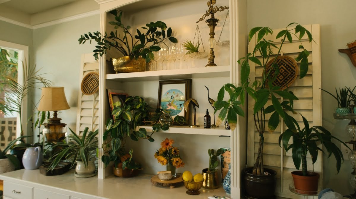 Importance Of Plants In Vastu