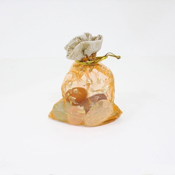 Crystal Pouch Pisces