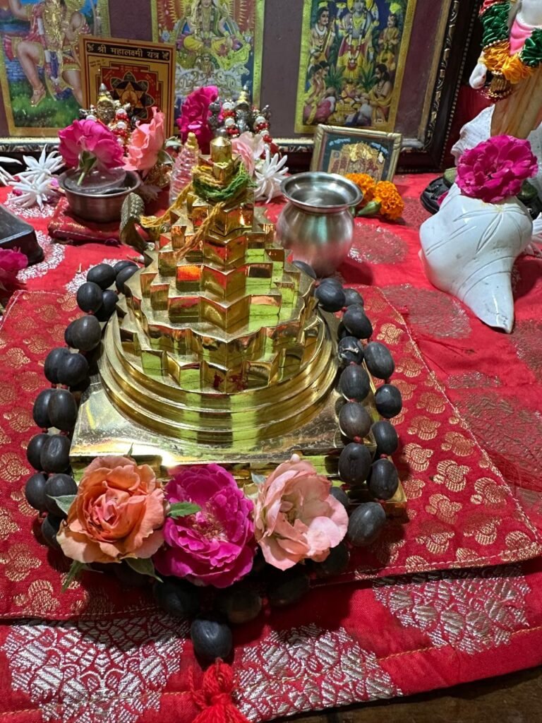 Image #1 from Navneet Kumar Sharma, Miles Incorporations, Samrala Punjab