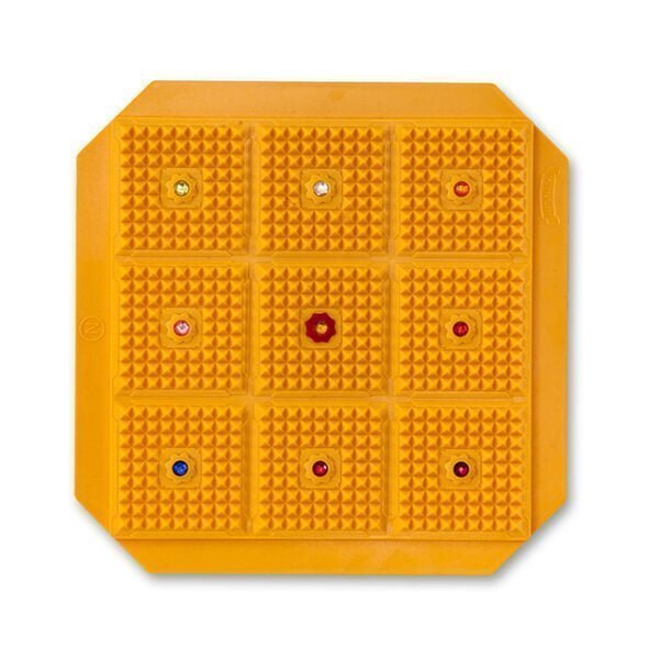 Vastu Energy Plate