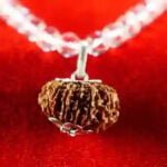 10 MUKHI SILVER CAP RUDRAKSHA WITH SPHATIK MALA DIAMOND CUTTING