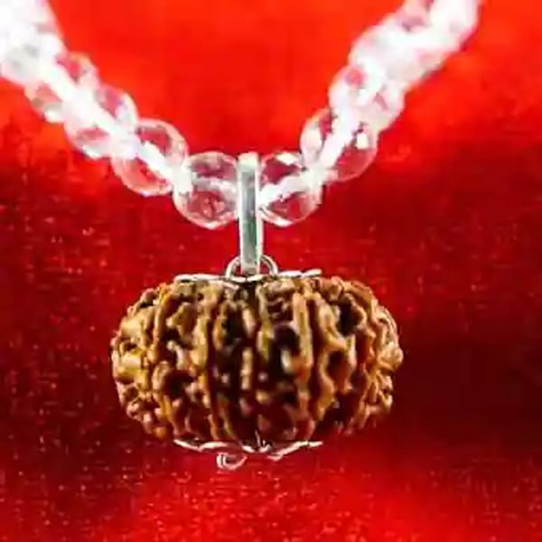 11 Mukhi Rudraksha Mala