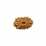 18 Mukhi Nepal Rudraksha