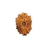 19 Mukhi Nepal Rudraksha