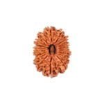 18 MUKHI RUDRAKSHA