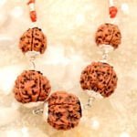 HEALTH POWER RUDRAKSHA