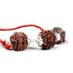 POWER OF SPEECH Rudraksha