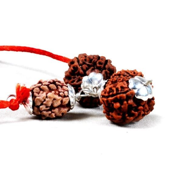 Bandhan Yog Rudraksha