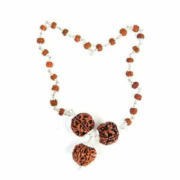 SHREE EDUCATION POWER Rudraksha