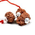 Rudraksha For Every Business