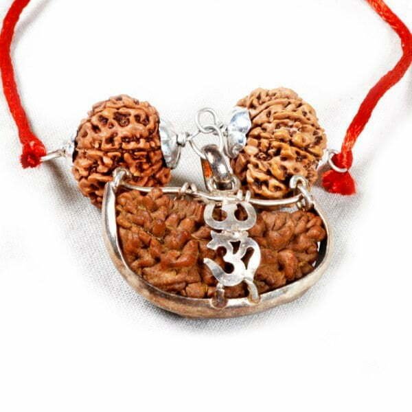 Dhyan Yog Rudraksha Mala