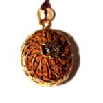 Sun Power 12 Mukhi Rudraksha