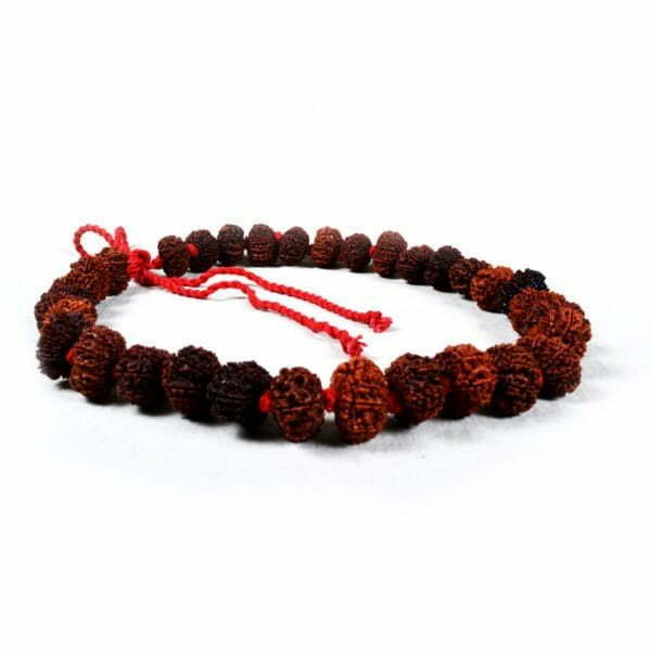 Surya Rudraksha Mala