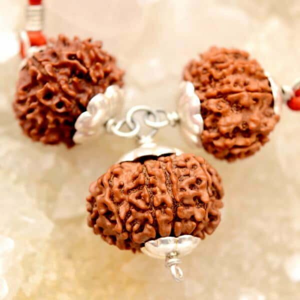 Kaal Sarp Dosh Nivaran Rudraksha Kavach