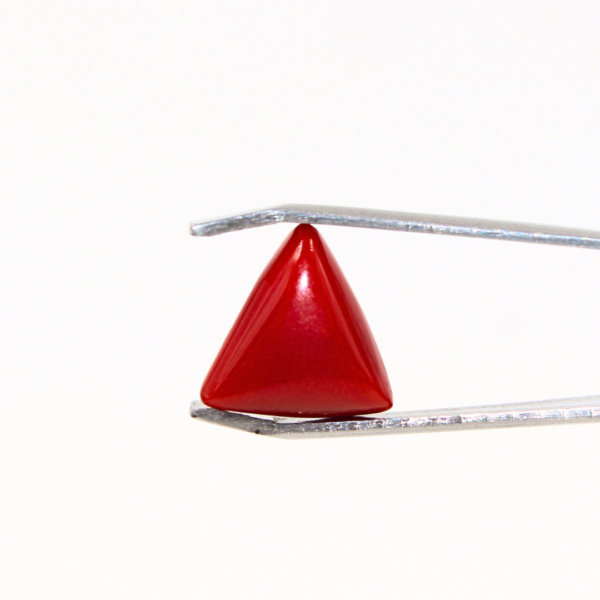 CORAL 3.52 Carats | (Moonga-3.87 ratti)