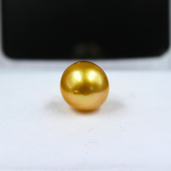 PEARL 5.53 Carats | (Natural Moti - 6.25 ratti)