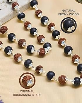 WhatsApp Image 2026-01-16 at 10.24.01 Divya Rudraksha Karungali Mala