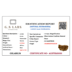 1 Mukhi Rudraksha (Kaju)