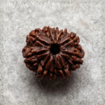 10 Mukhi Rudraksha