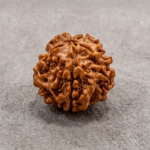 1 Mukhi Rudraksha