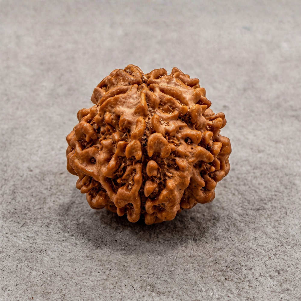1 Mukhi Rudraksha