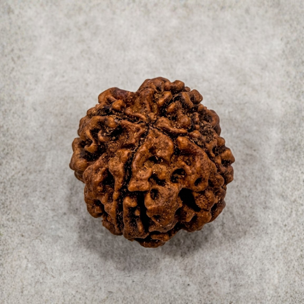 4 Mukhi Rudraksha