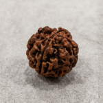 4 Mukhi Rudraksha