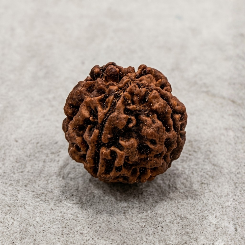 4 Mukhi Rudraksha