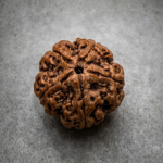 5 Mukhi Rudraksha