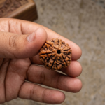 6 Mukhi Rudraksha