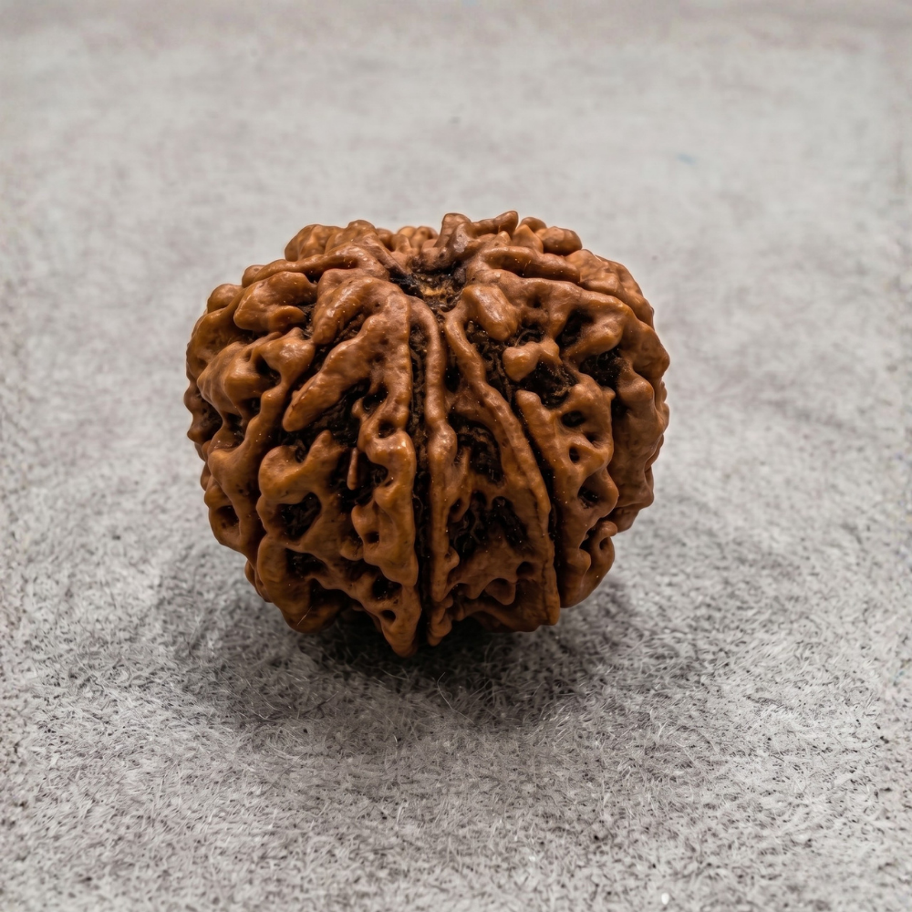 8 Mukhi Rudraksha