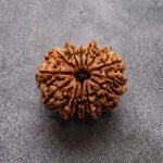 13 Mukhi Rudraksha