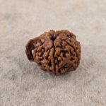 Ganesh Rudraksha