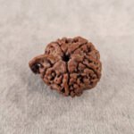 Ganesh Rudraksha