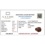 Ganesh Rudraksha